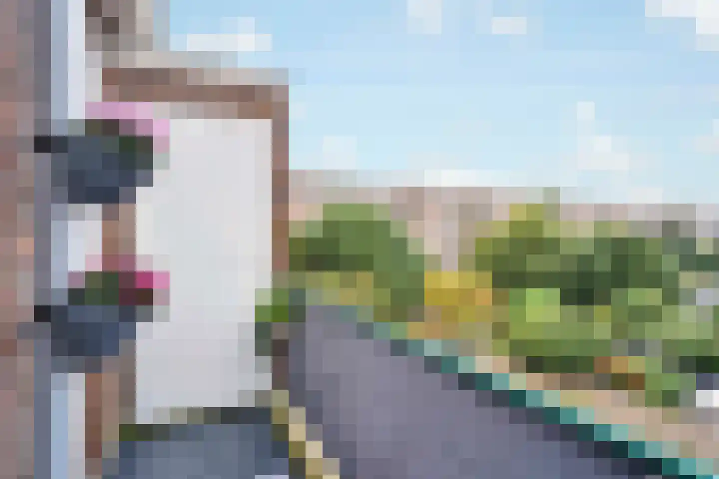 Wognumstraat 71 Den Haag thumbnail 4