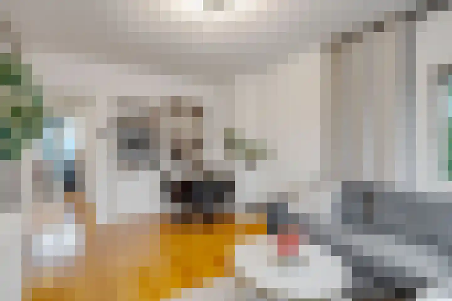 Wognumstraat 71 Den Haag thumbnail 6