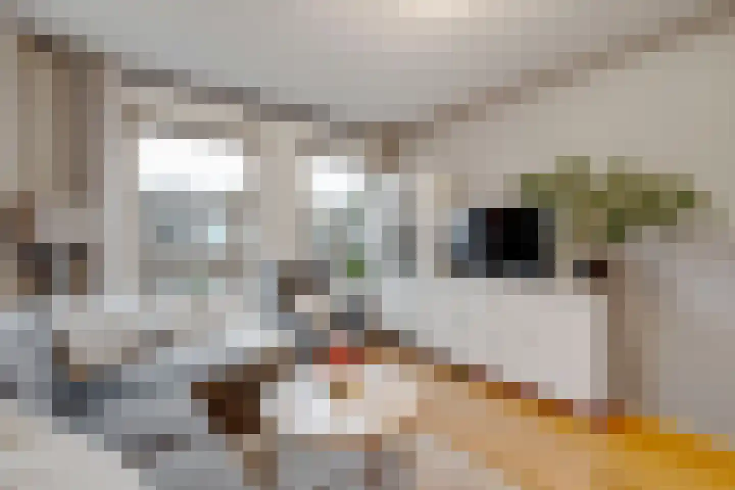 Wognumstraat 71 Den Haag thumbnail 7
