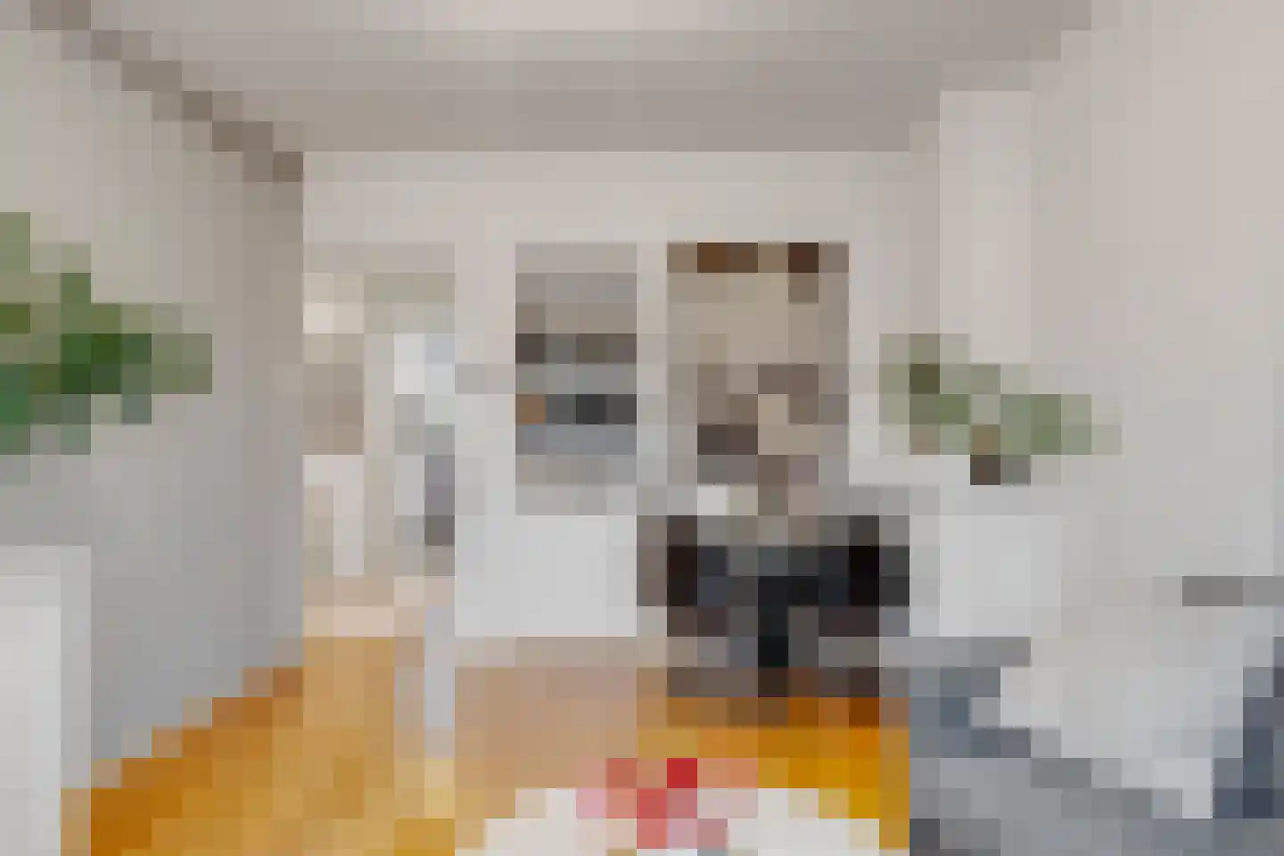 Wognumstraat 71 Den Haag thumbnail 8