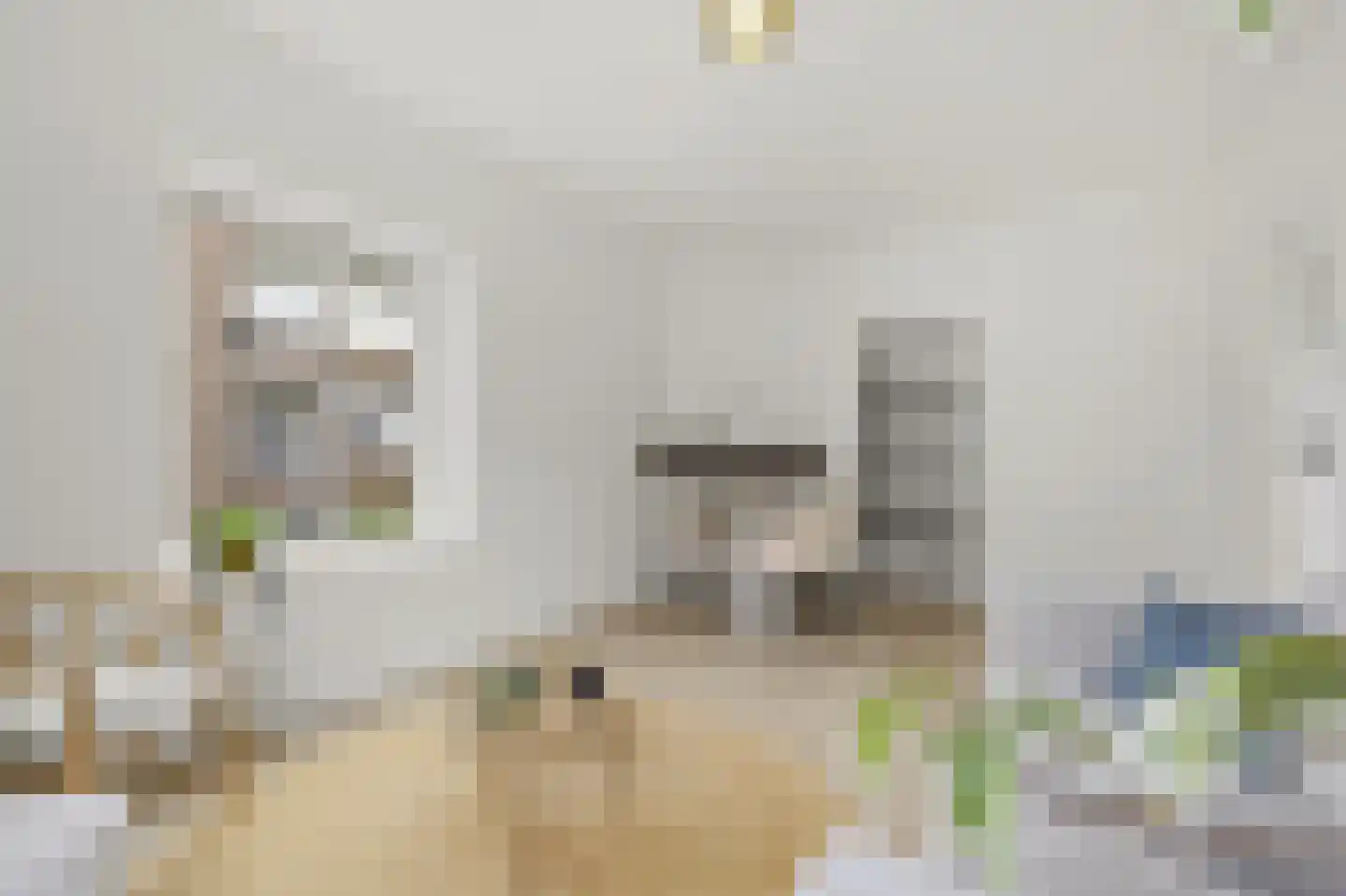 Wognumstraat 8 Den Haag thumbnail 13
