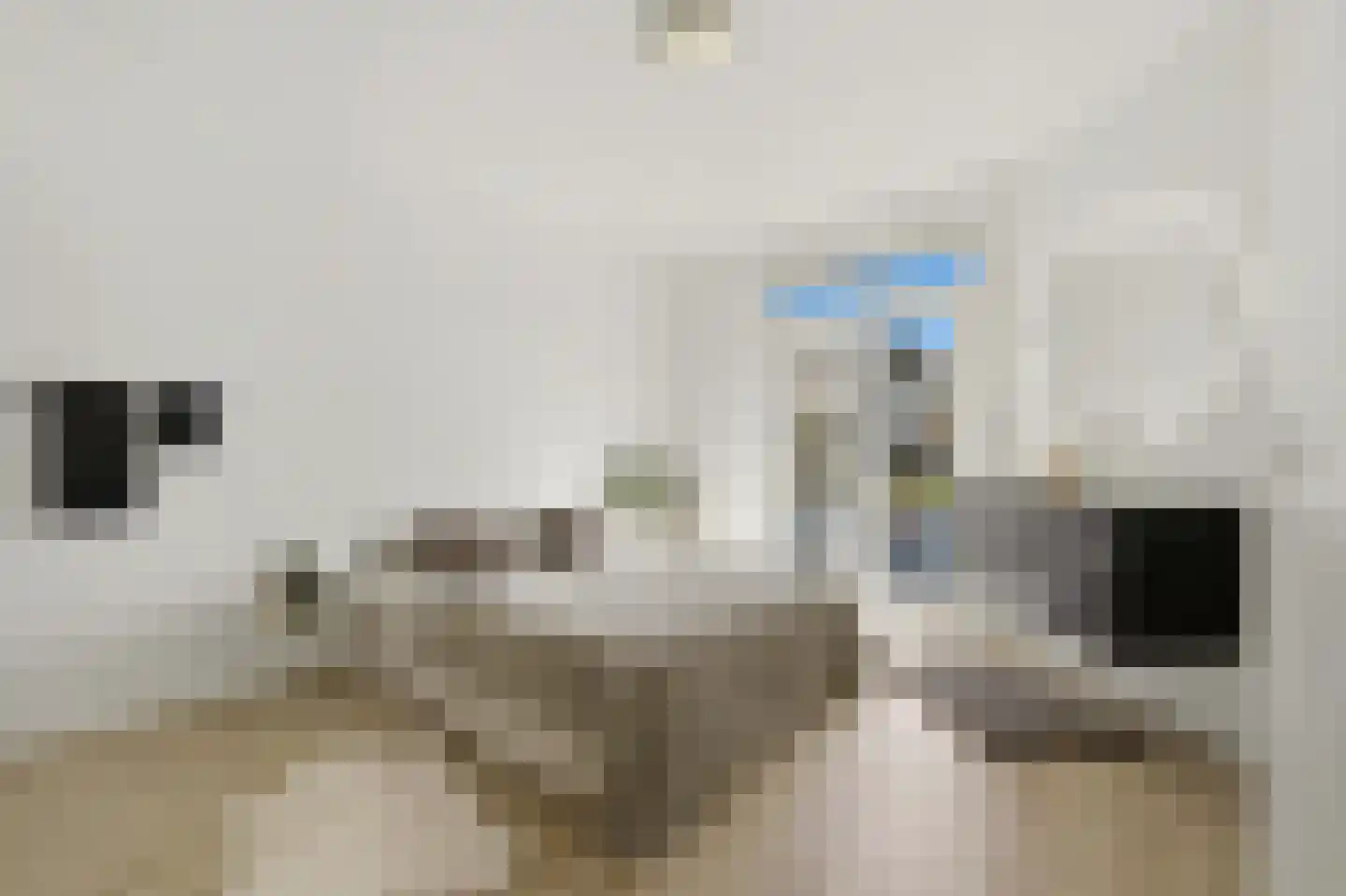 Wognumstraat 8 Den Haag thumbnail 17