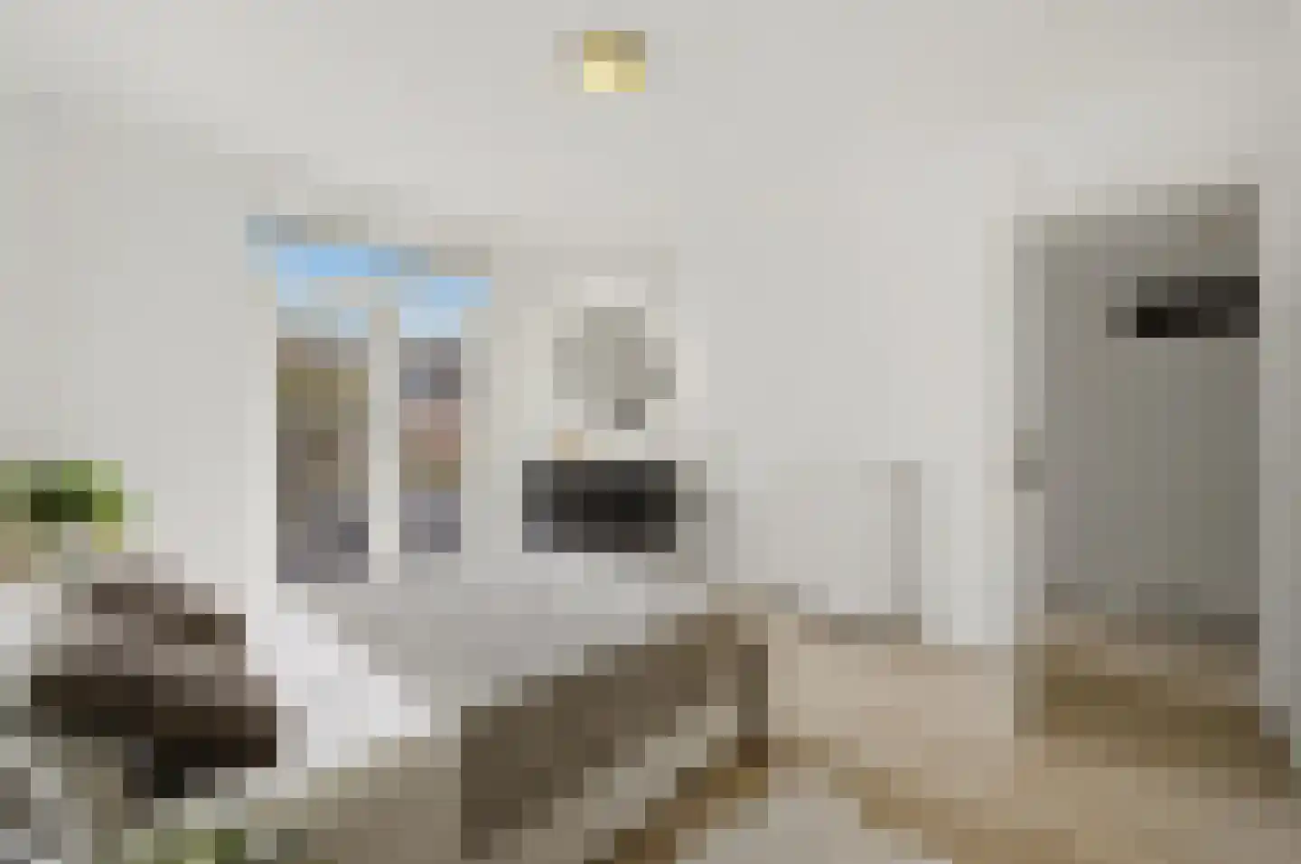 Wognumstraat 8 Den Haag thumbnail 20