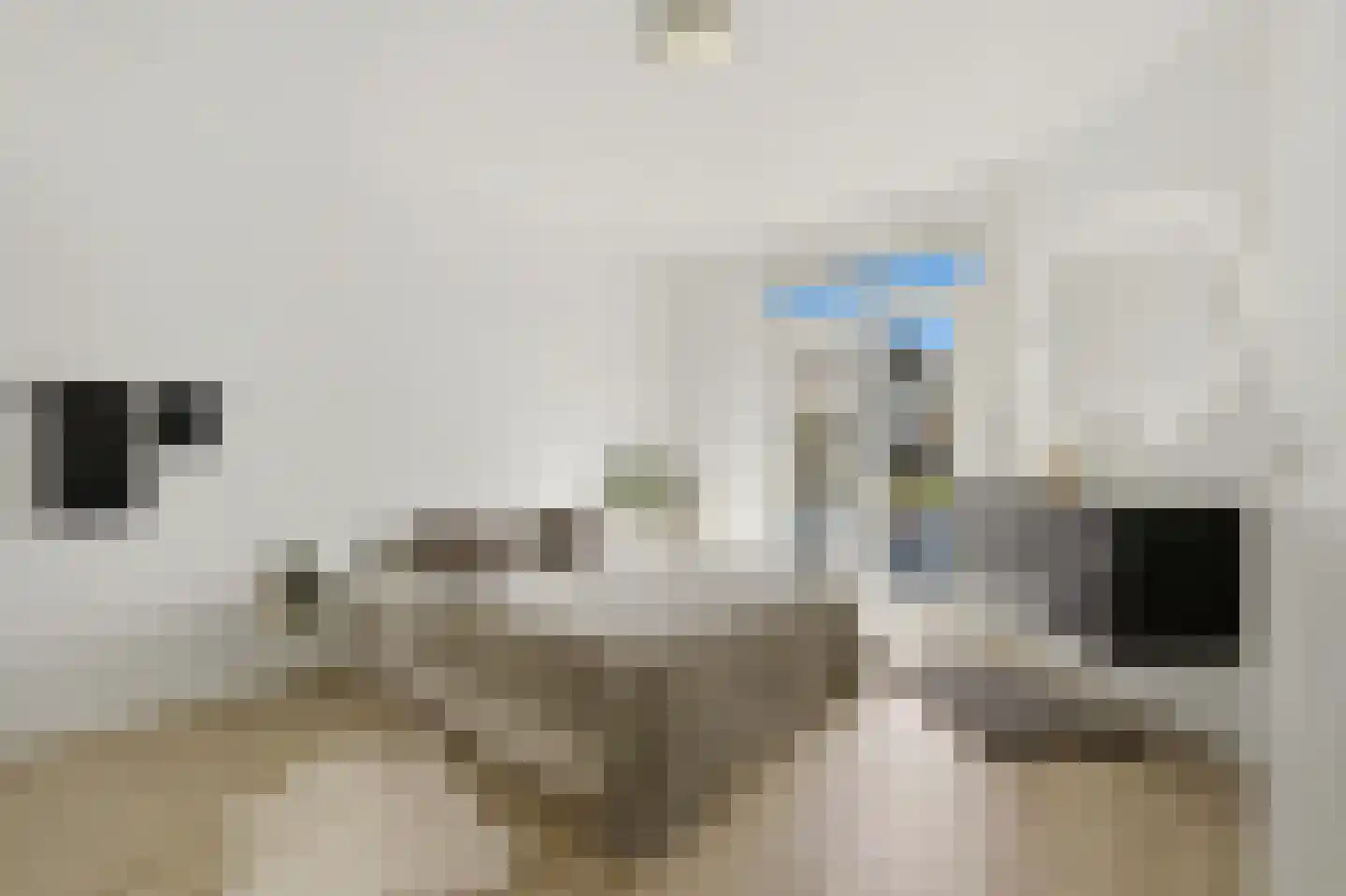 Wognumstraat 8 Den Haag thumbnail 4