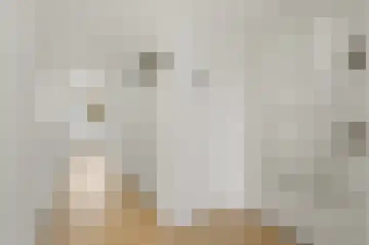 Wognumstraat 8 Den Haag thumbnail 7