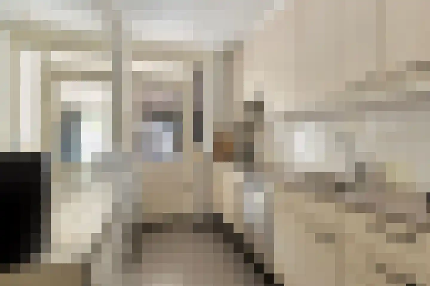 Wognumstraat 90 Den Haag thumbnail 16