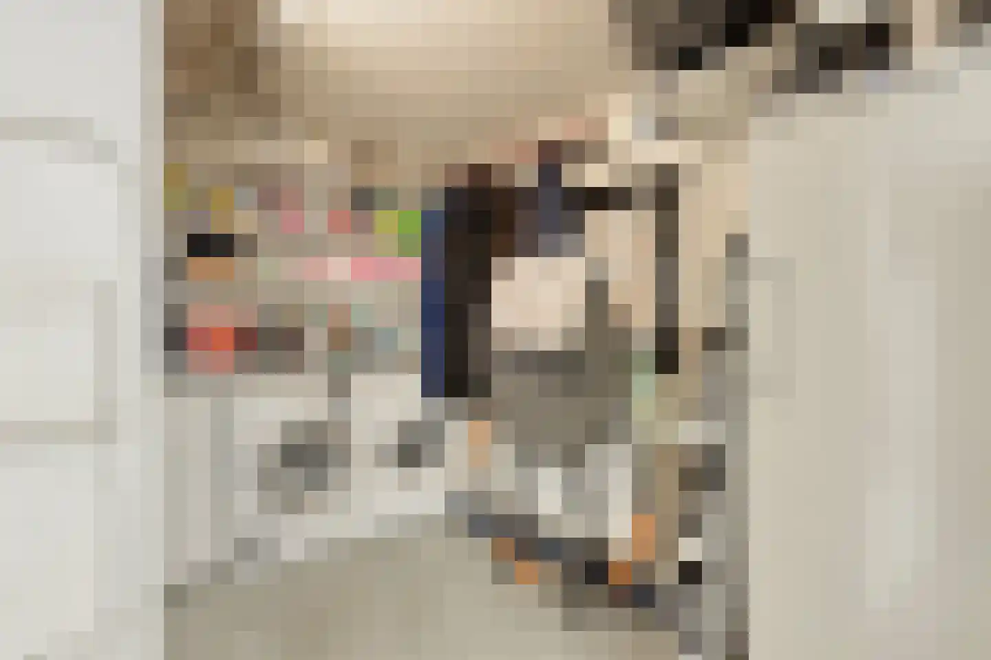Wognumstraat 90 Den Haag thumbnail 18