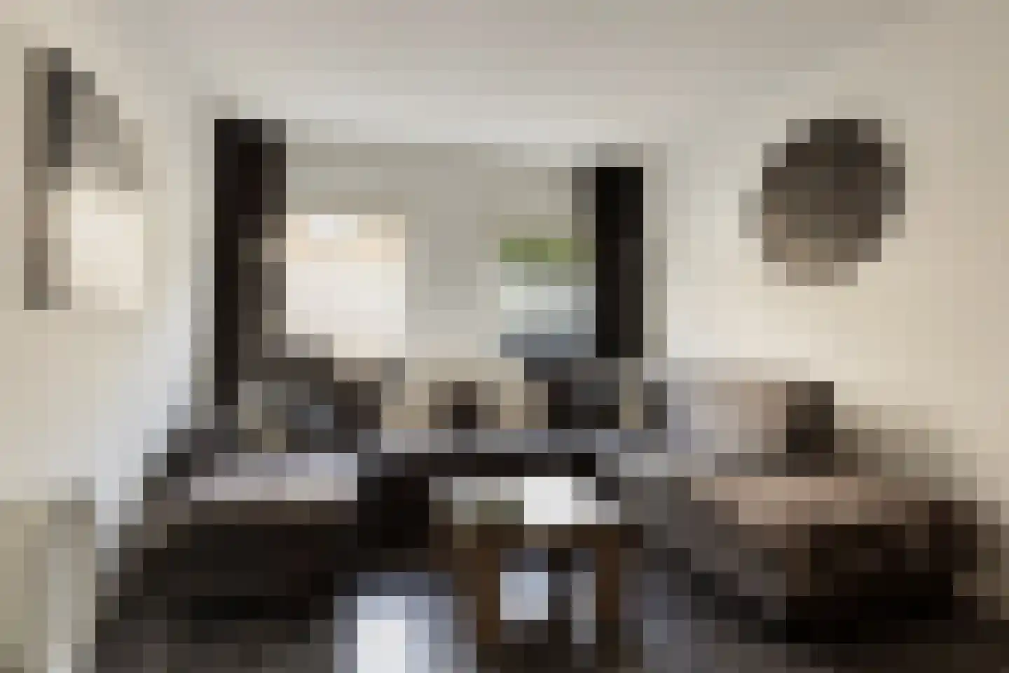 Wognumstraat 90 Den Haag thumbnail 4
