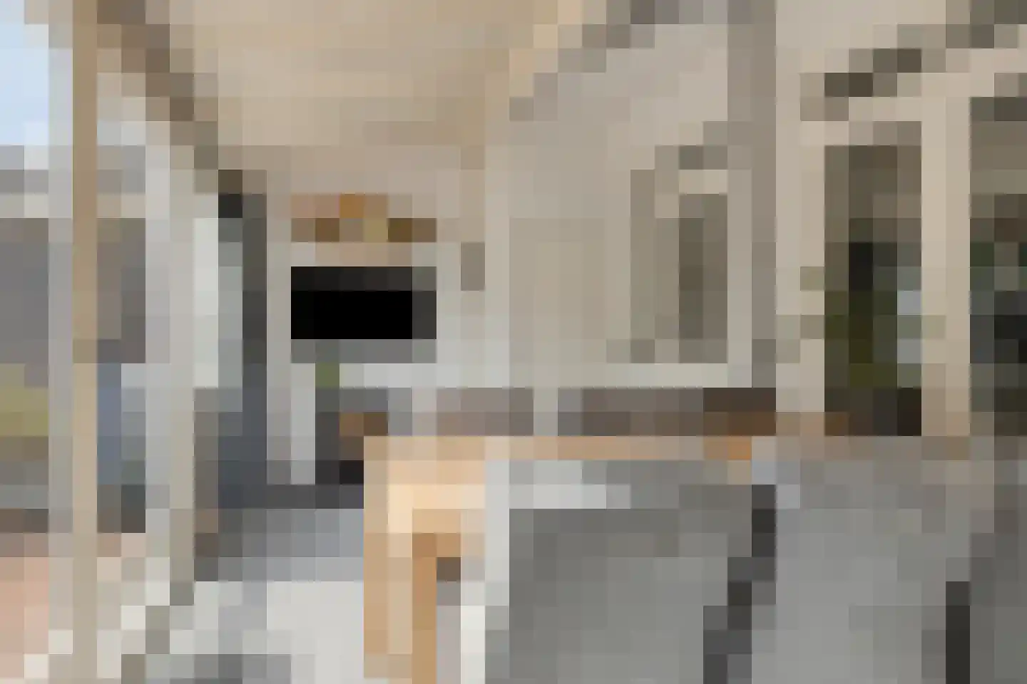 Wognumstraat 90 Den Haag thumbnail 5