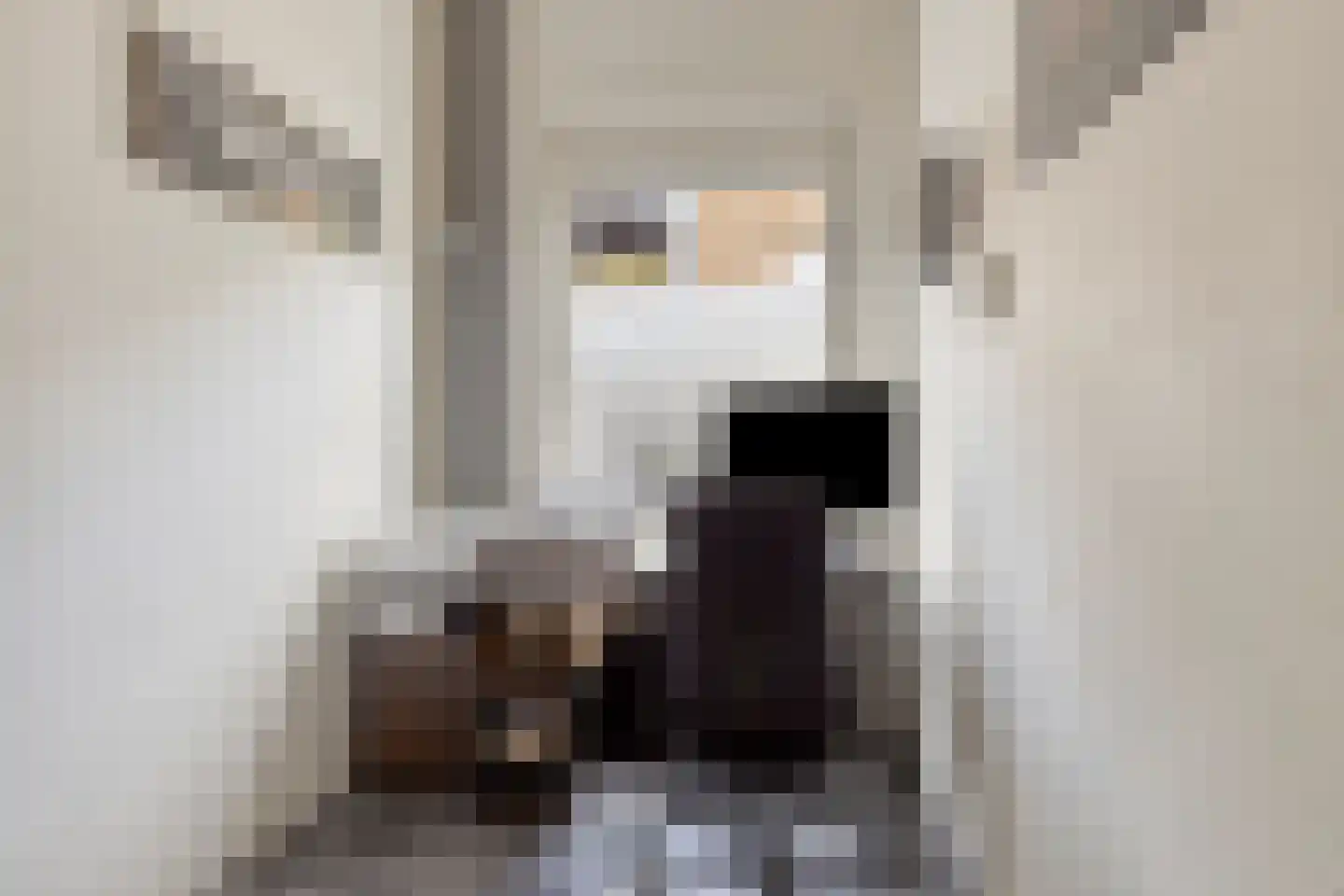 Wognumstraat 90 Den Haag thumbnail 8