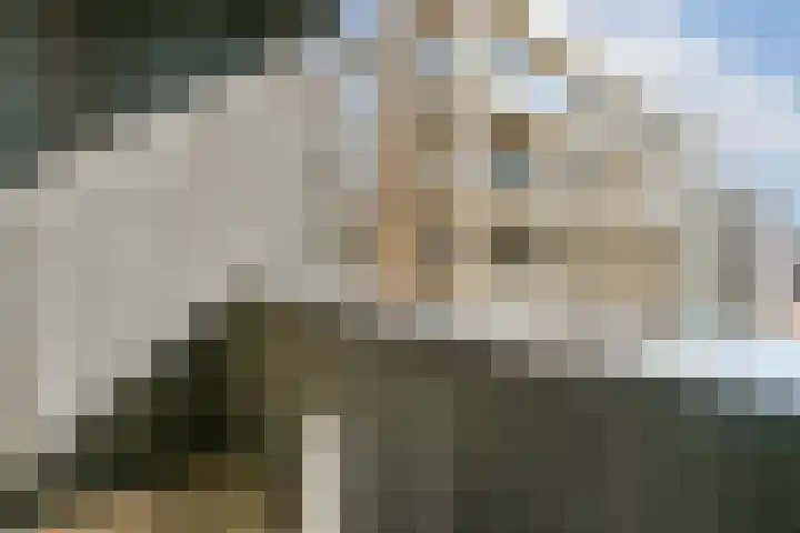 Woiskistraat 100 Amsterdam thumbnail 4