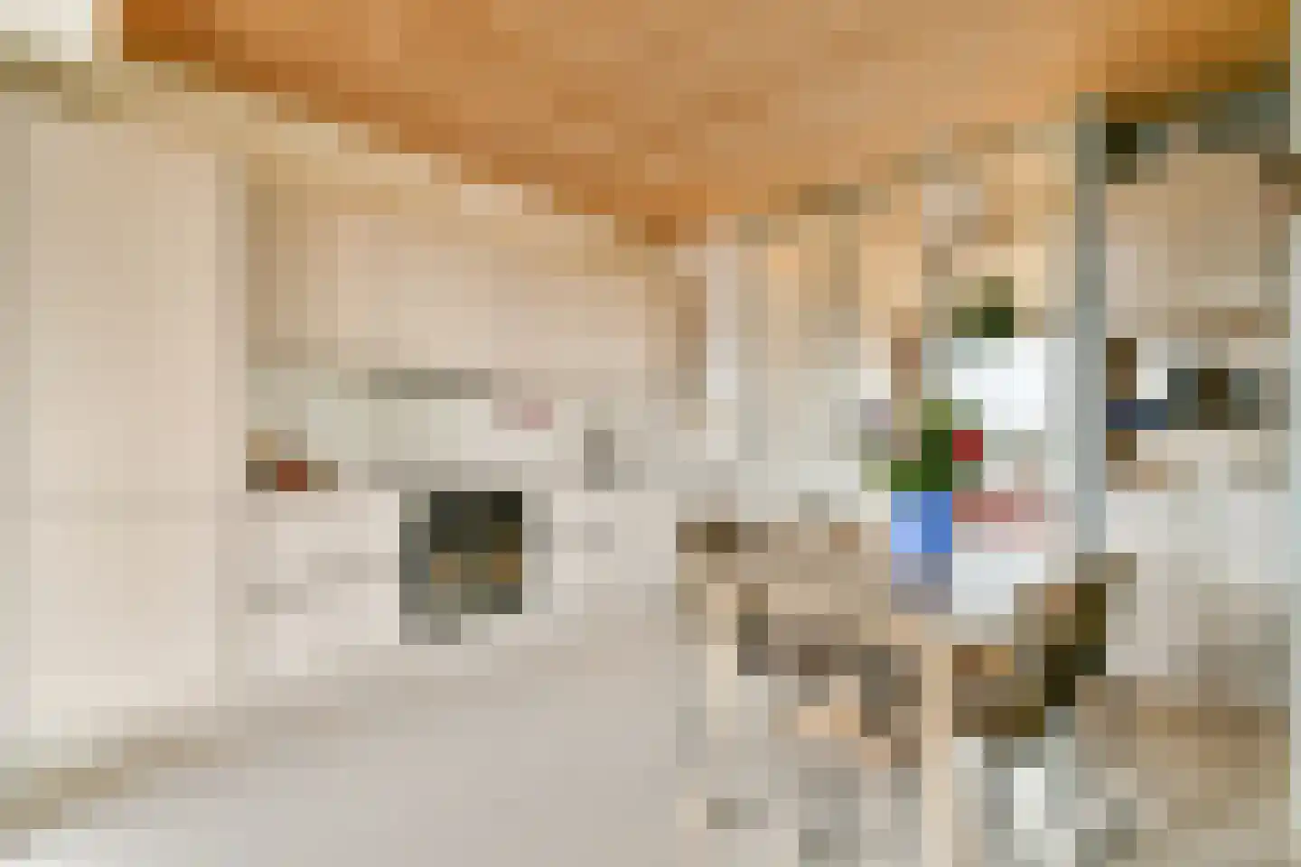 Woiskistraat 104 Amsterdam thumbnail 7