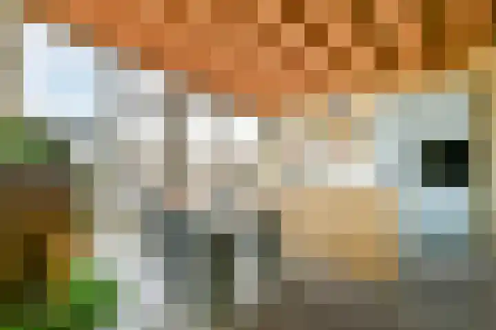 Woiskistraat 110 Amsterdam thumbnail 9