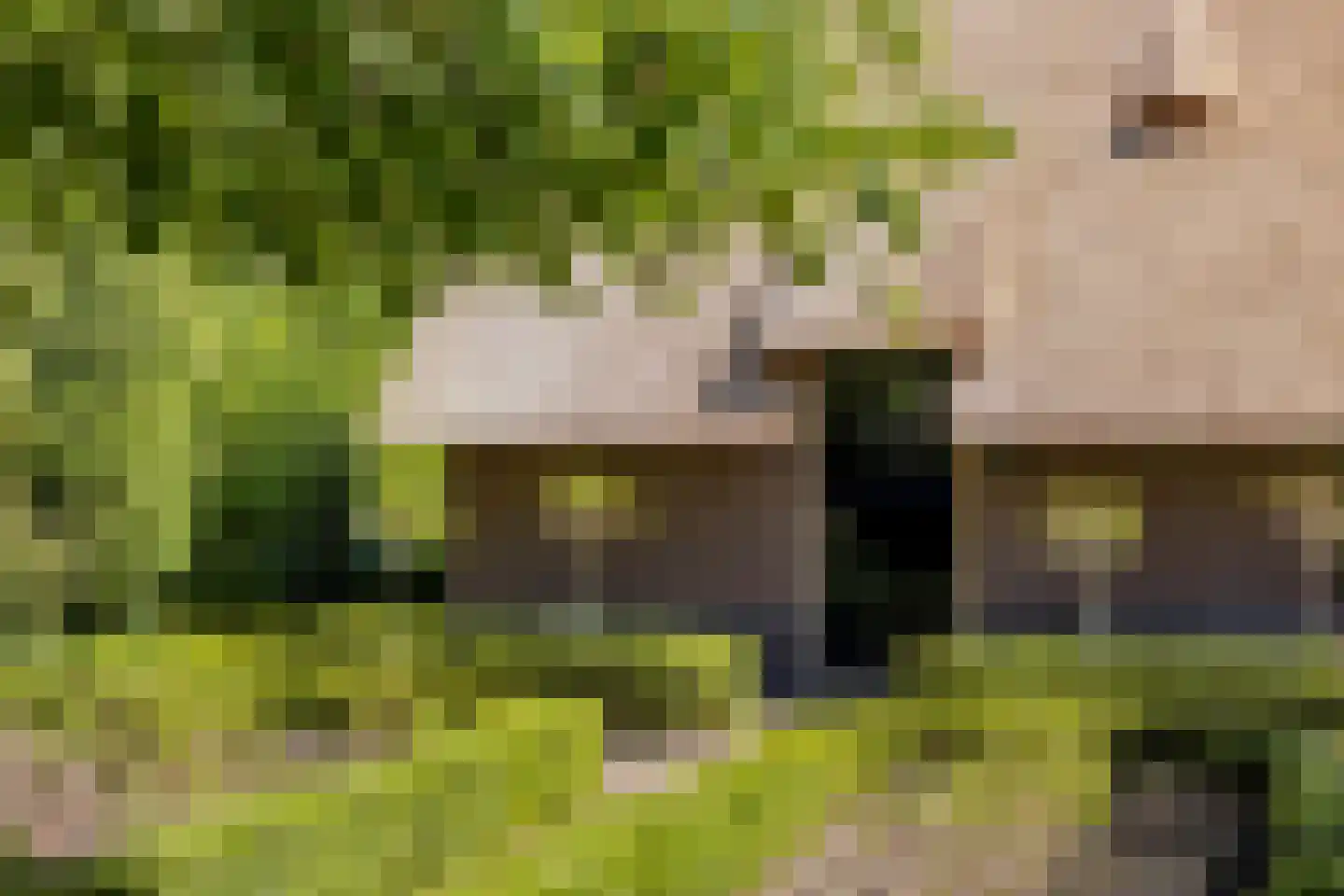 Wolbarg 25 Ruurlo thumbnail 10