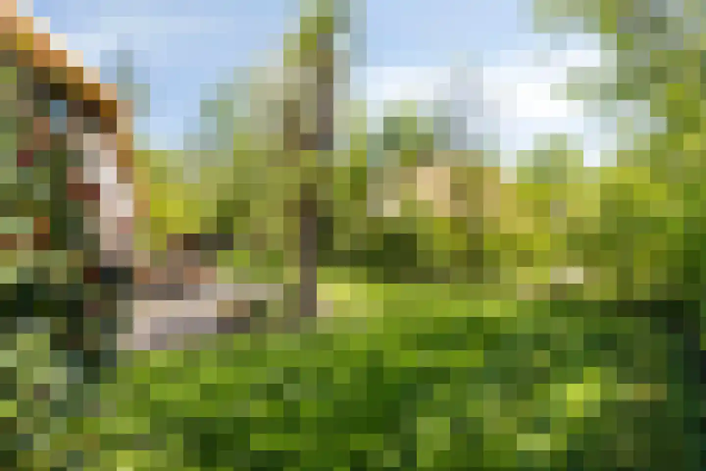 Wolbarg 25 Ruurlo thumbnail 31
