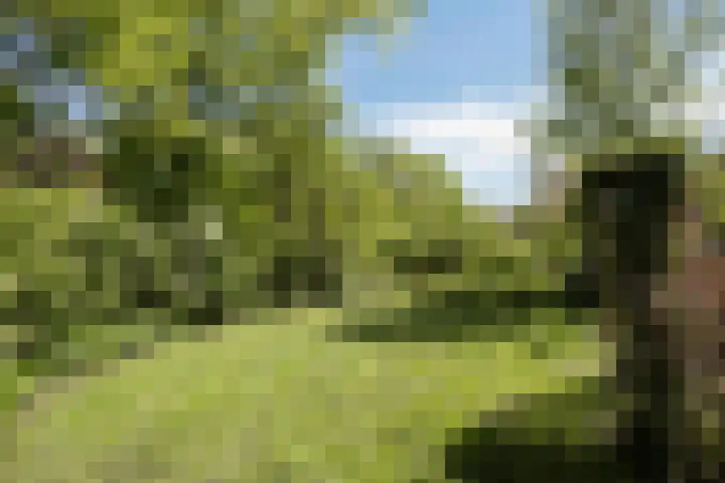 Wolbarg 25 Ruurlo thumbnail 32