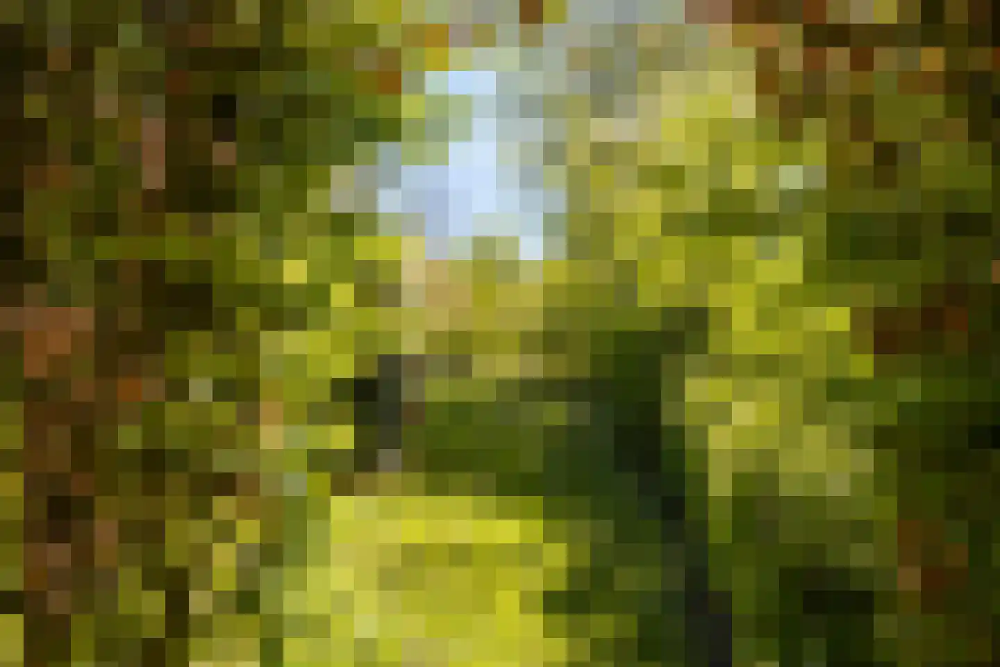 Wolbarg 25 Ruurlo thumbnail 34