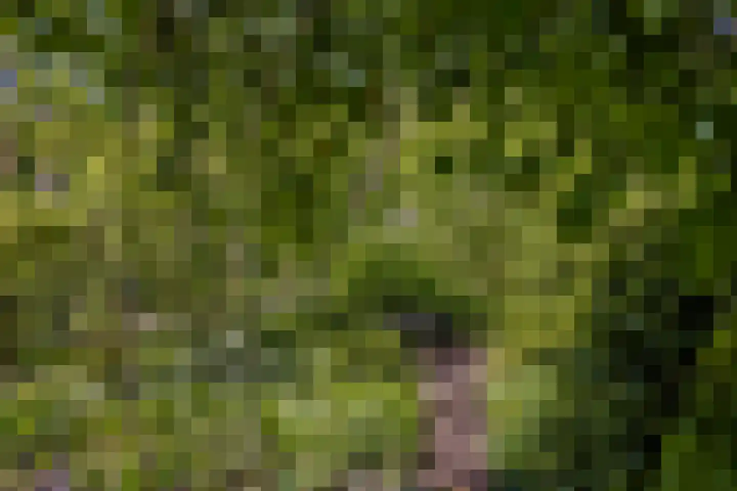 Wolbarg 25 Ruurlo thumbnail 35