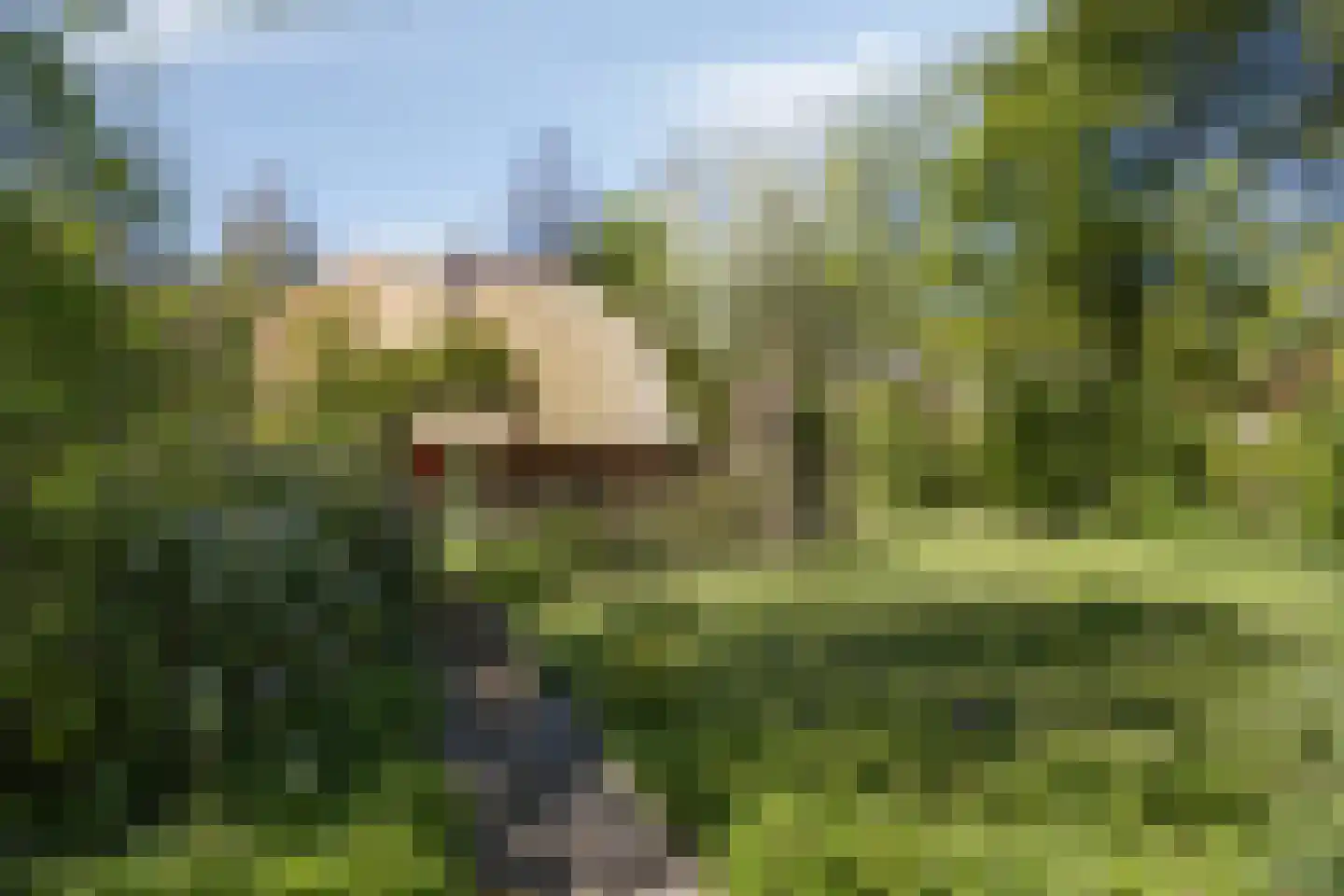 Wolbarg 25 Ruurlo thumbnail 36