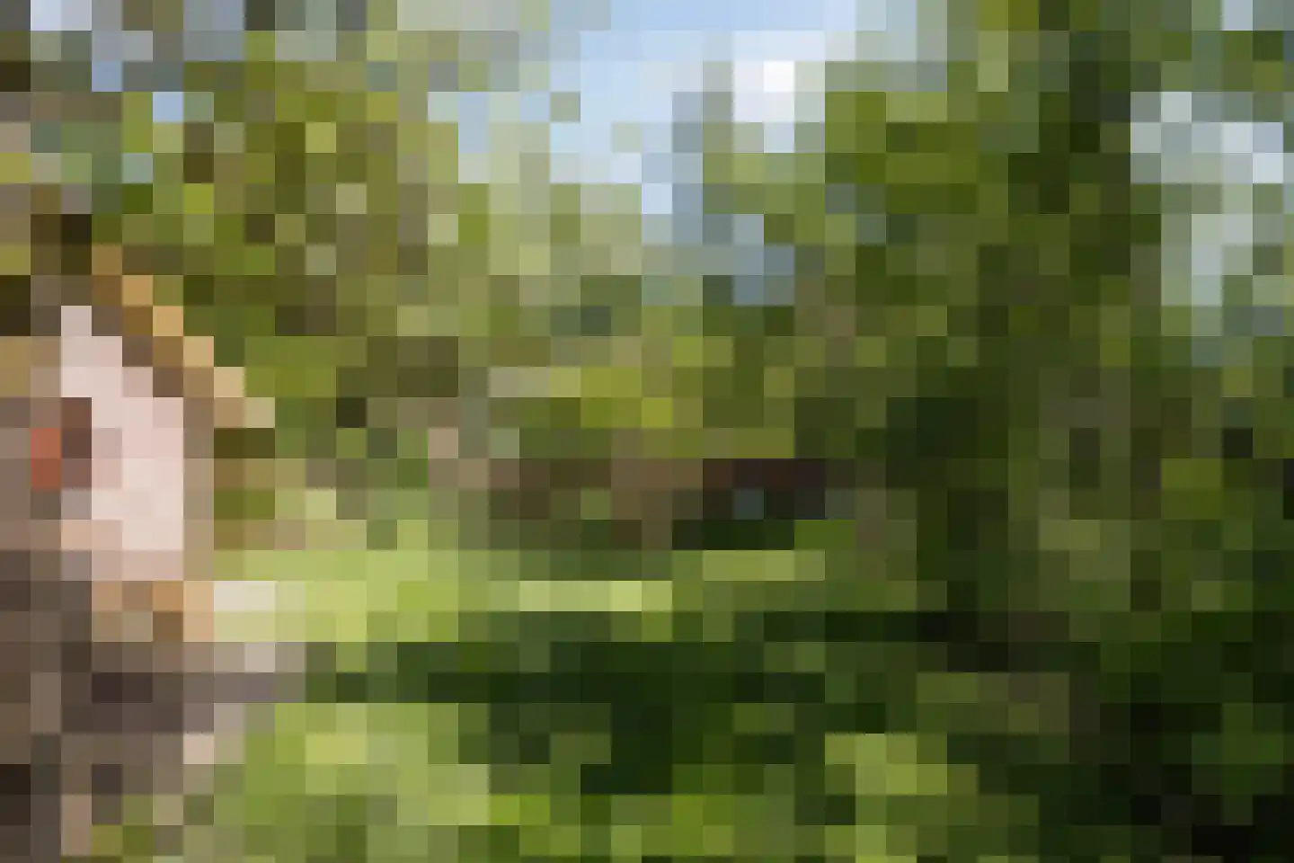 Wolbarg 25 Ruurlo thumbnail 37