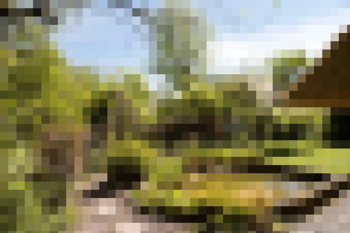 Wolbarg 25 Ruurlo thumbnail 38