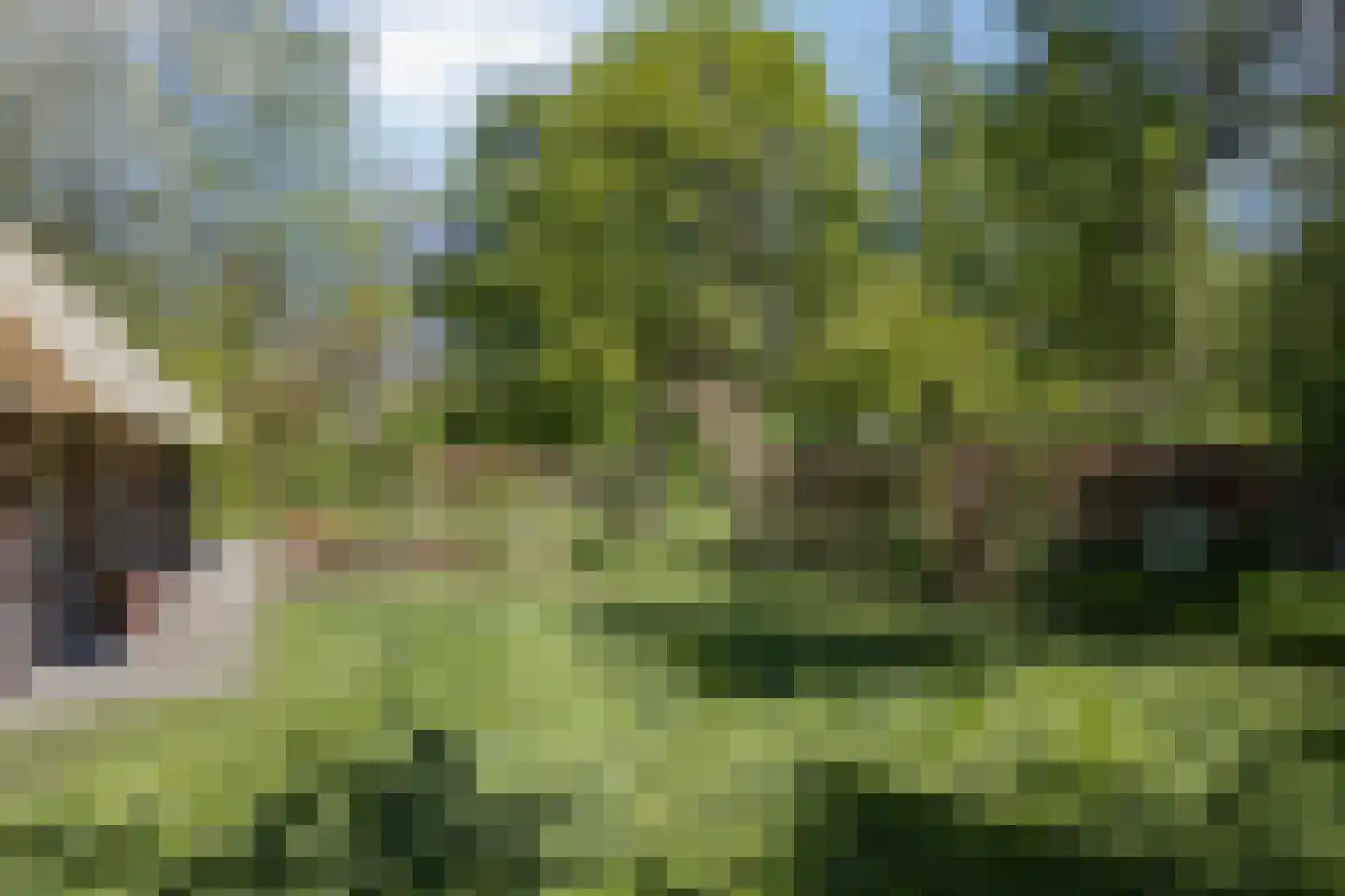 Wolbarg 25 Ruurlo thumbnail 39