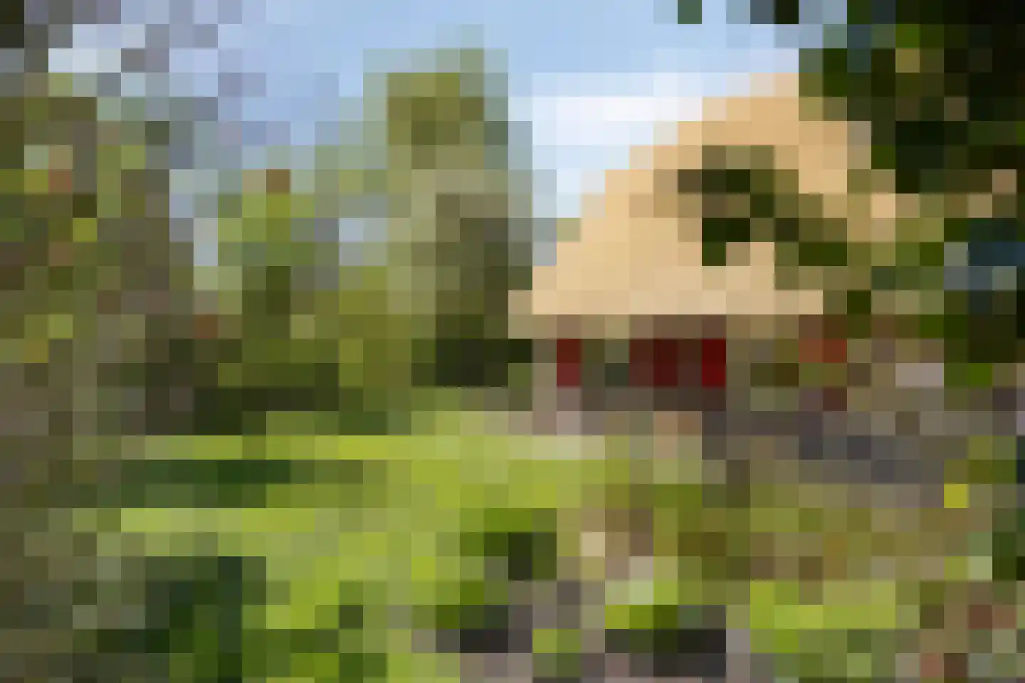 Wolbarg 25 Ruurlo thumbnail 4