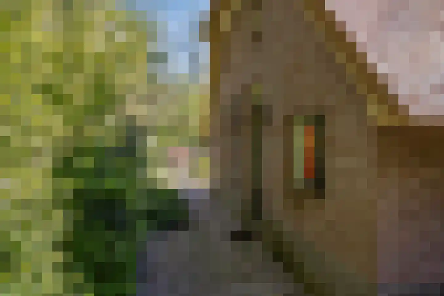 Wolbarg 25 Ruurlo thumbnail 40