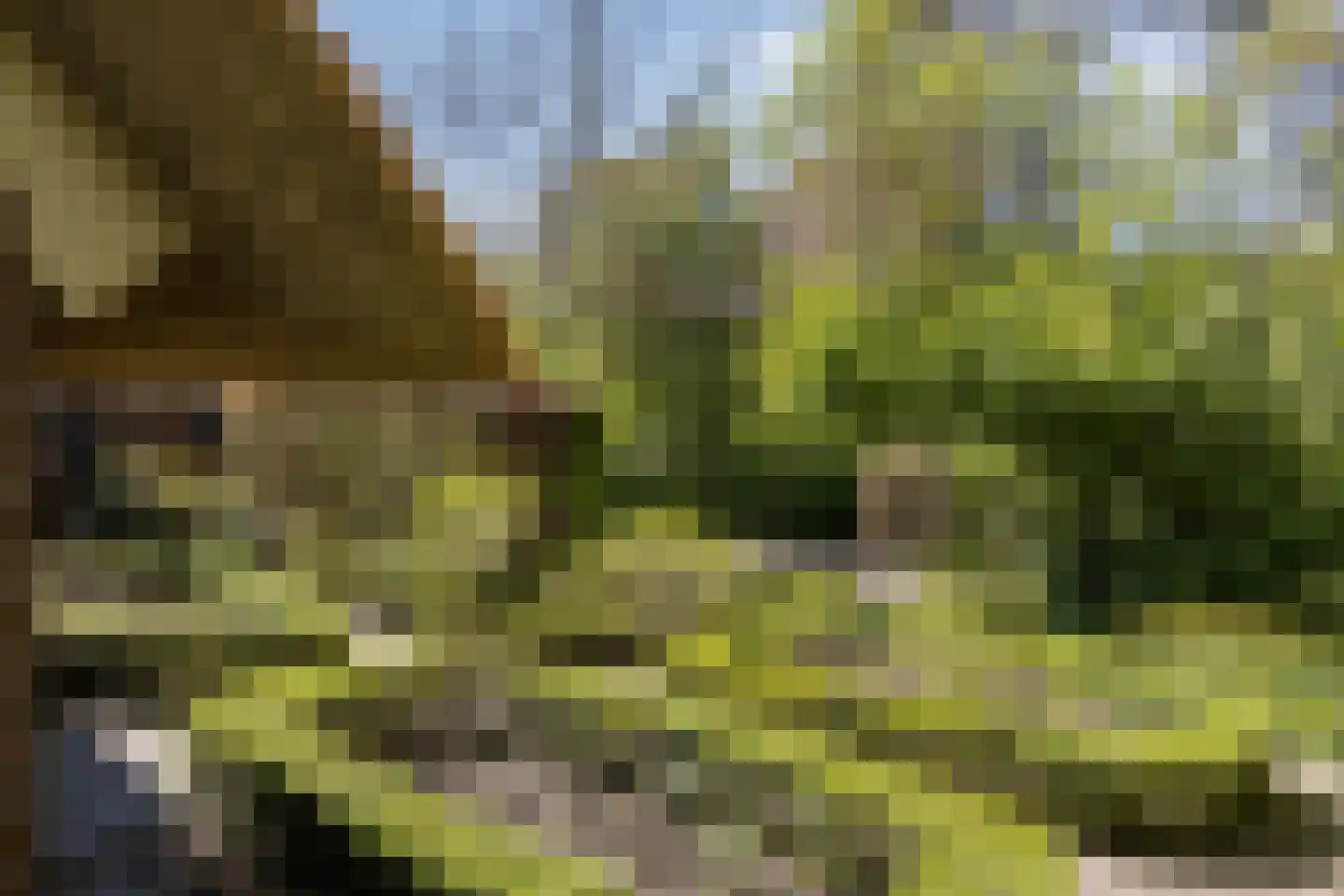 Wolbarg 25 Ruurlo thumbnail 41