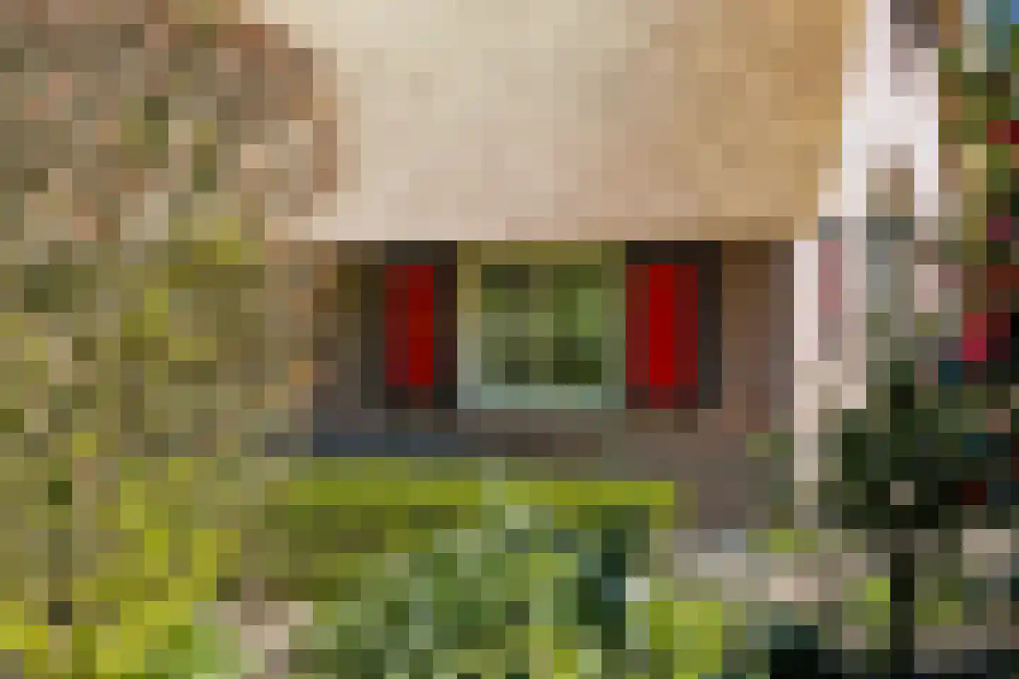 Wolbarg 25 Ruurlo thumbnail 43
