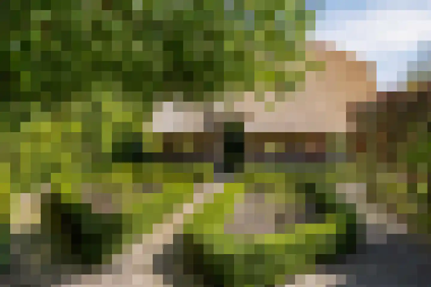 Wolbarg 25 Ruurlo thumbnail 44