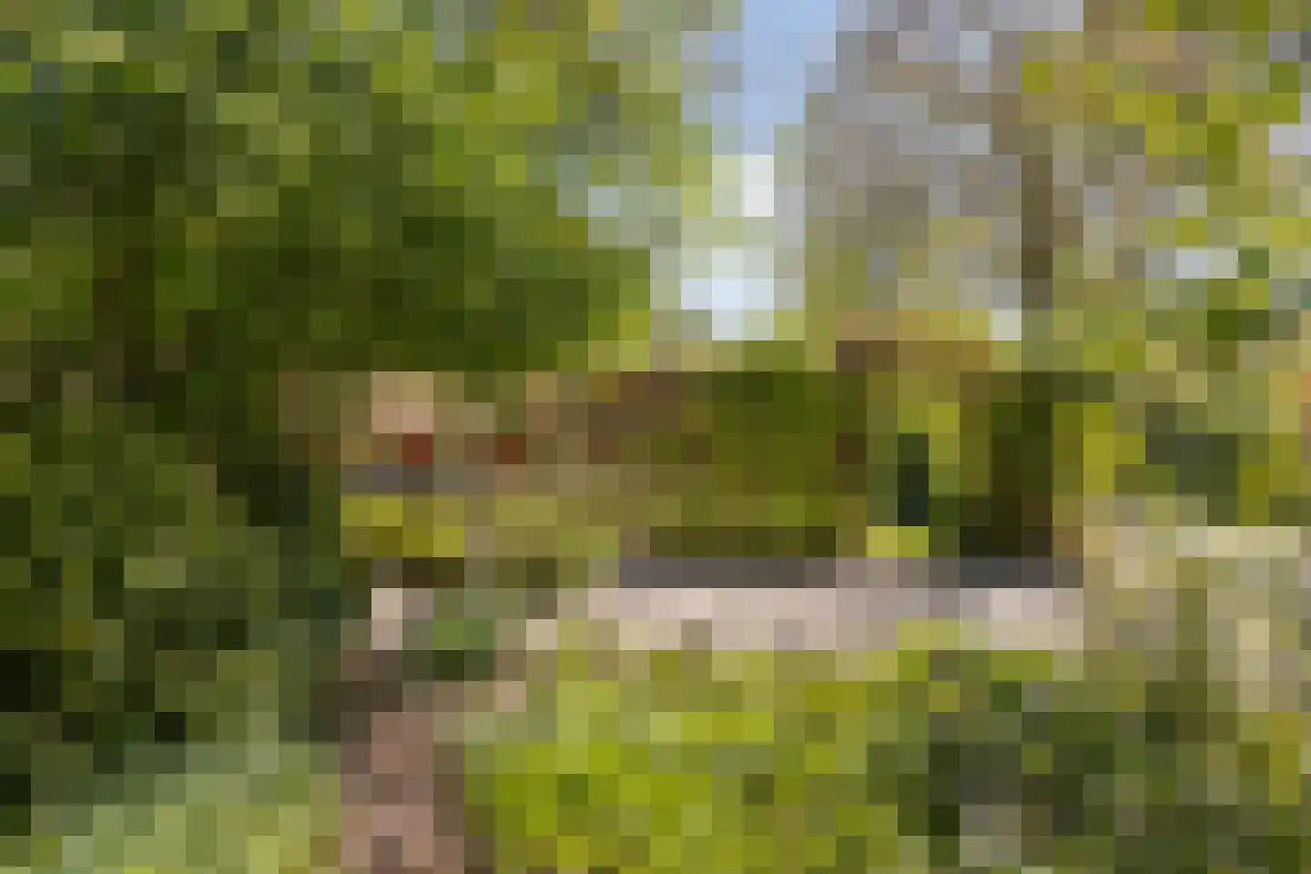 Wolbarg 25 Ruurlo thumbnail 45