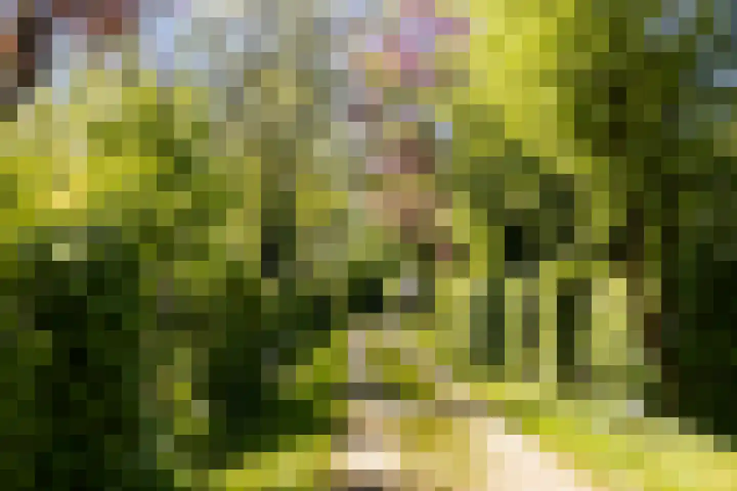 Wolbarg 25 Ruurlo thumbnail 46