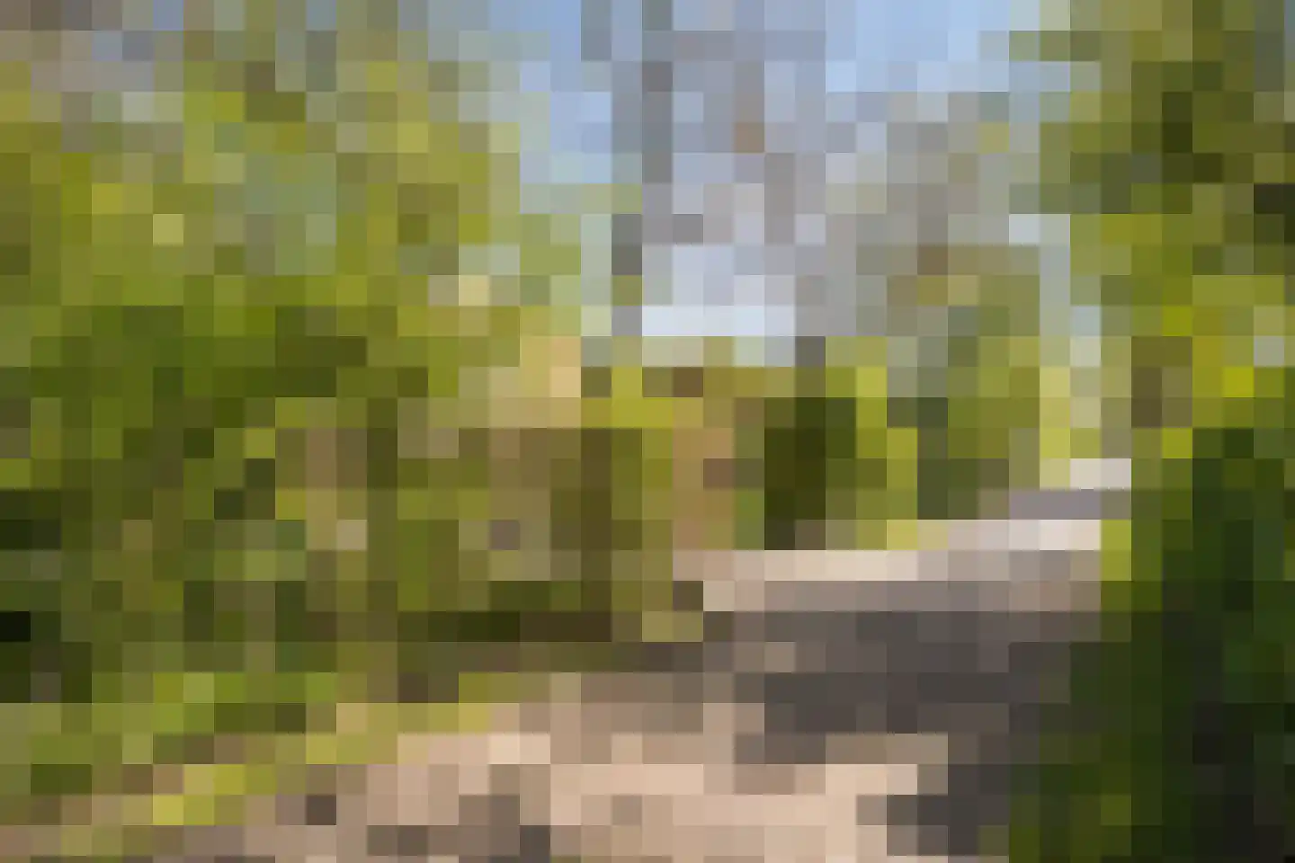 Wolbarg 25 Ruurlo thumbnail 47