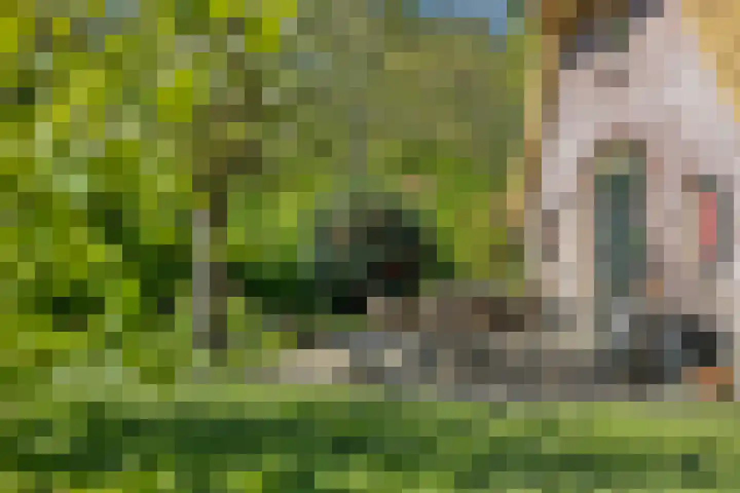 Wolbarg 25 Ruurlo thumbnail 5