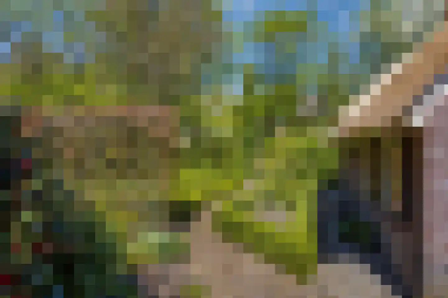 Wolbarg 25 Ruurlo thumbnail 8