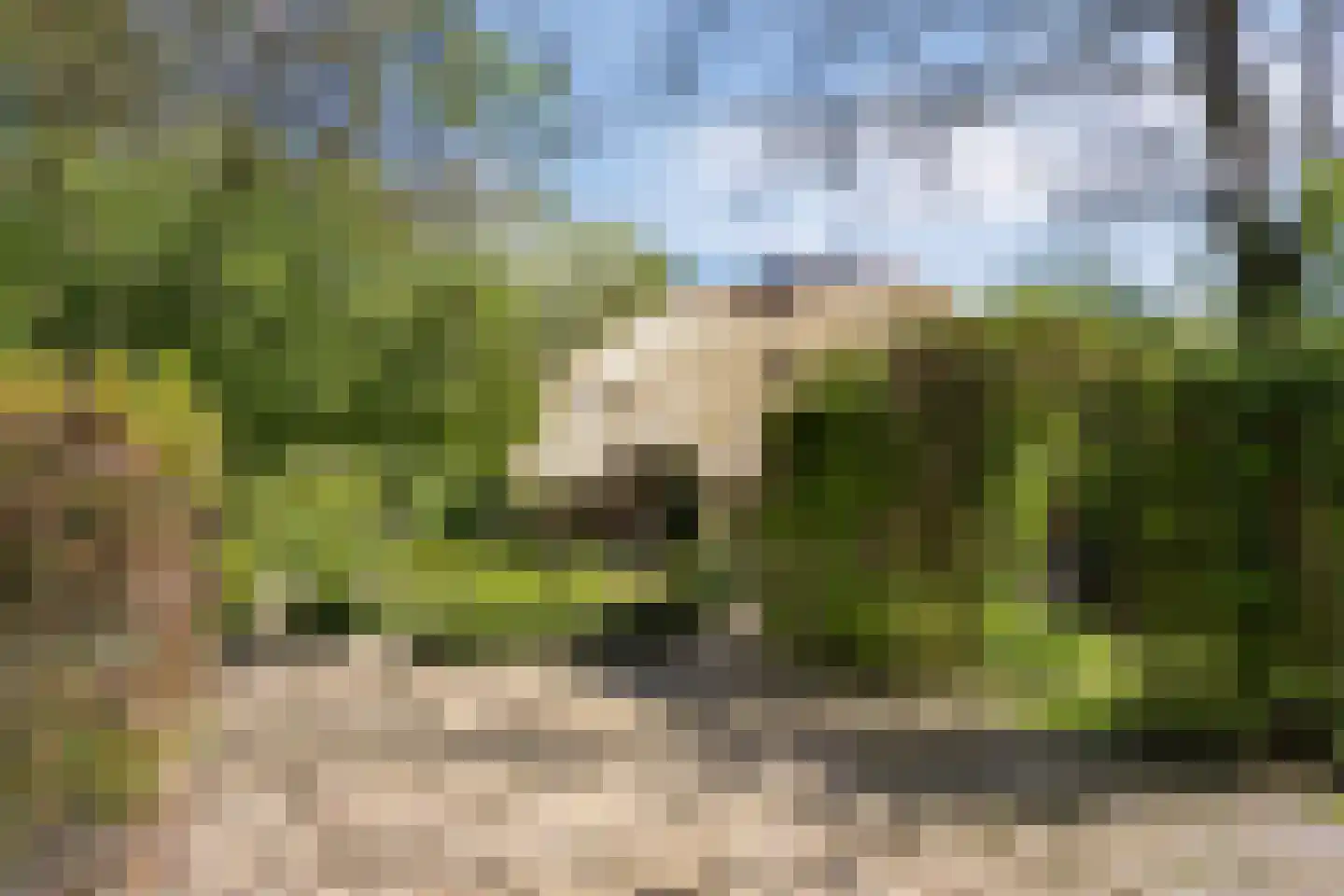 Wolbarg 25 Ruurlo thumbnail 9