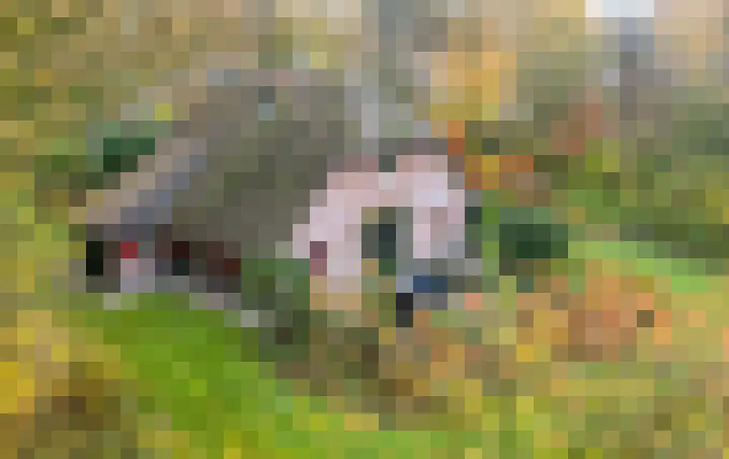 Wolbarg 9 Ruurlo