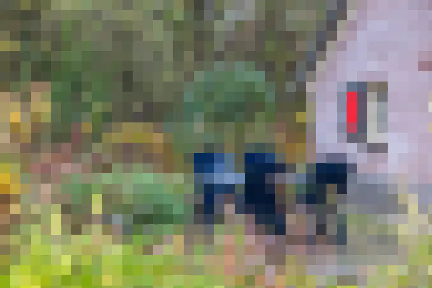 Wolbarg 9 Ruurlo thumbnail 17
