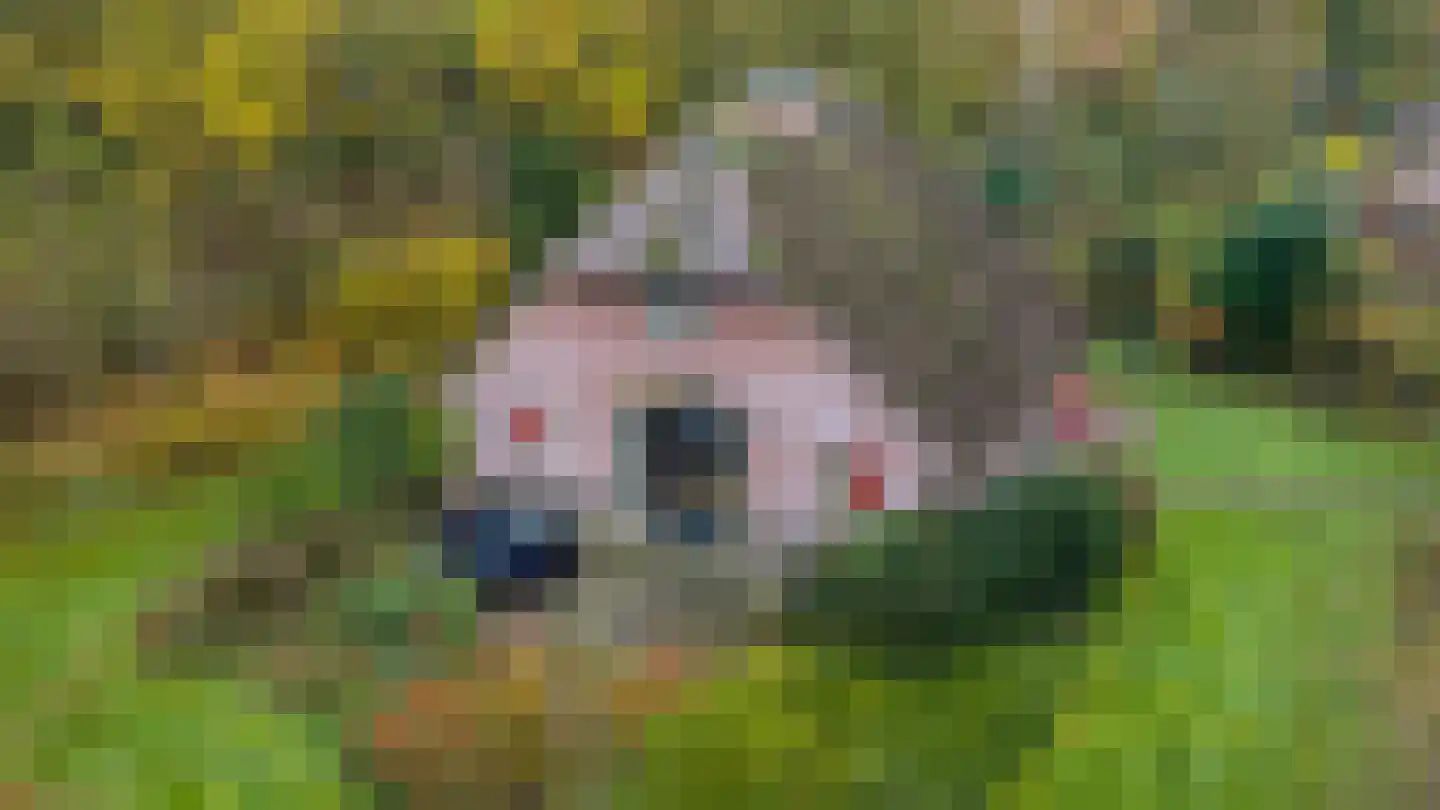 Wolbarg 9 Ruurlo thumbnail 20