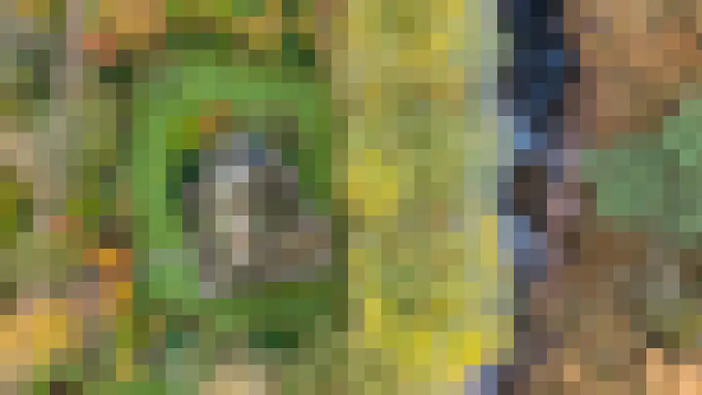 Wolbarg 9 Ruurlo thumbnail 27