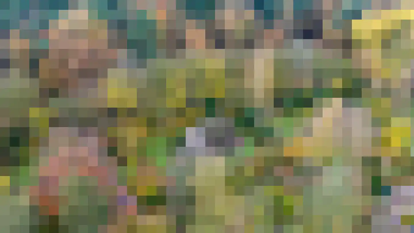 Wolbarg 9 Ruurlo thumbnail 28