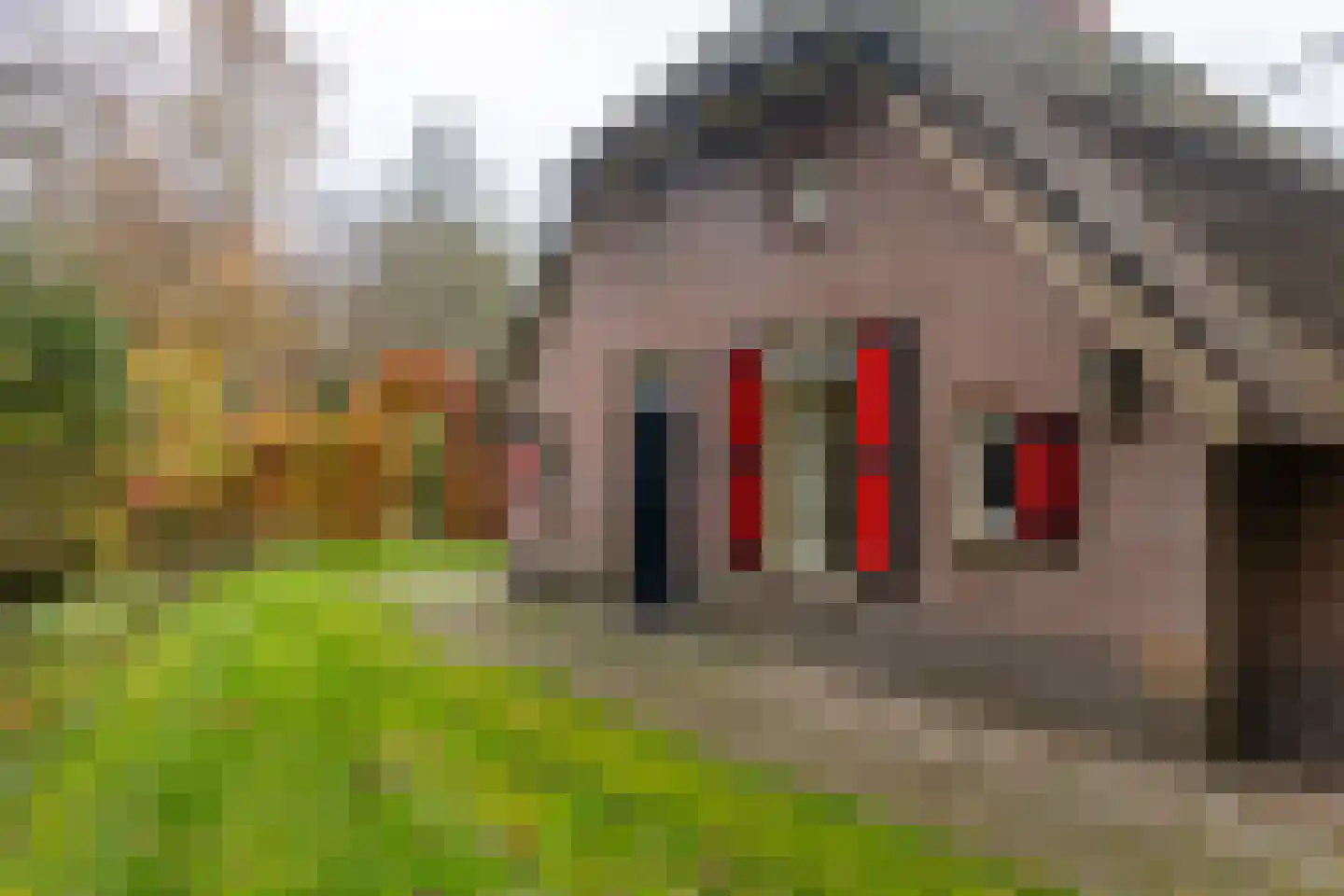Wolbarg 9 Ruurlo thumbnail 4