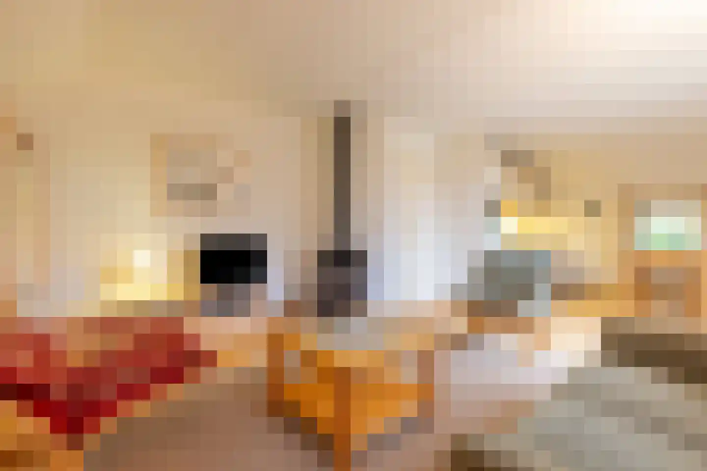 Wolbarg 9 Ruurlo thumbnail 9