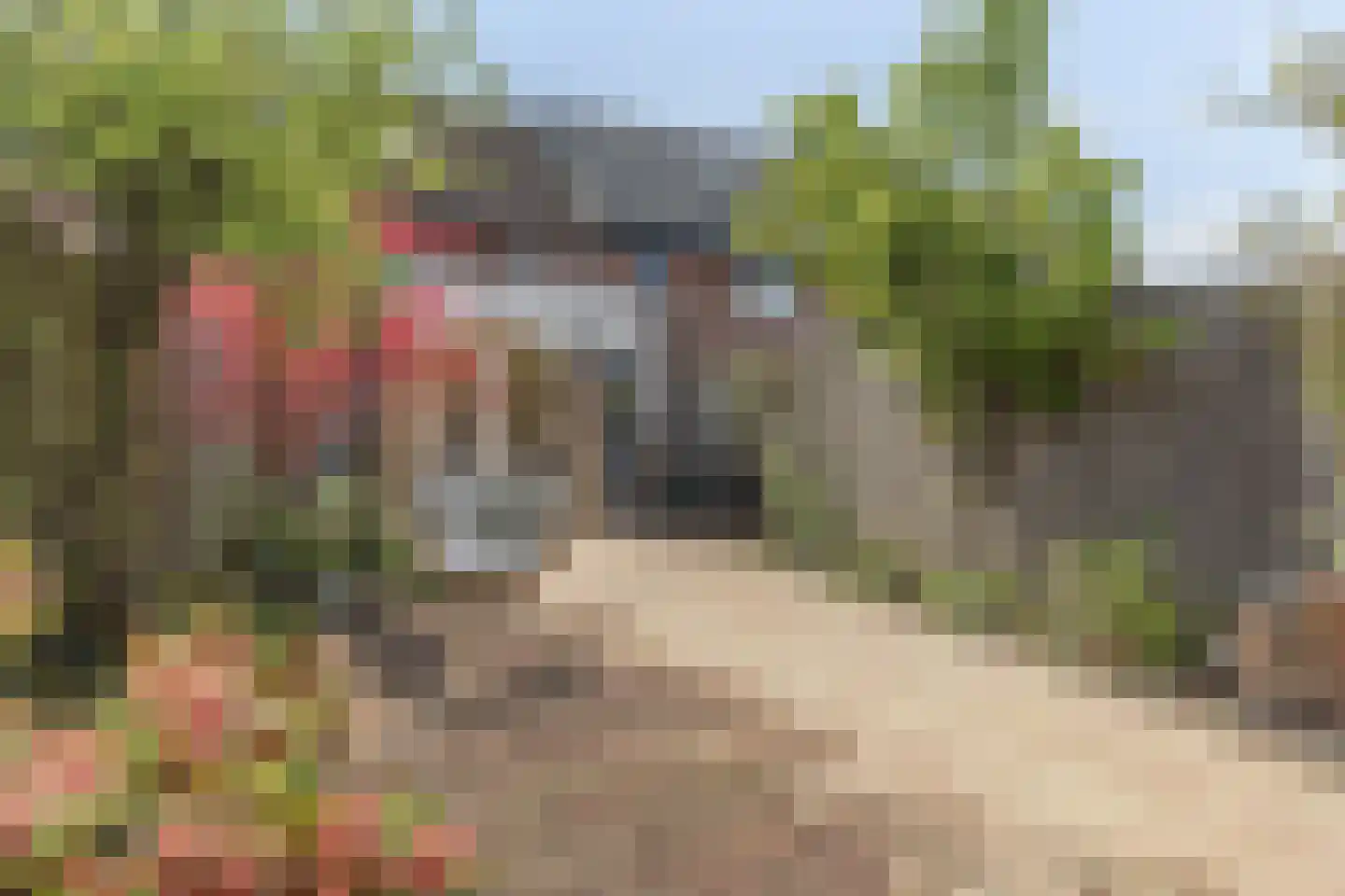 Wolberg 7 Veldhoven thumbnail 26