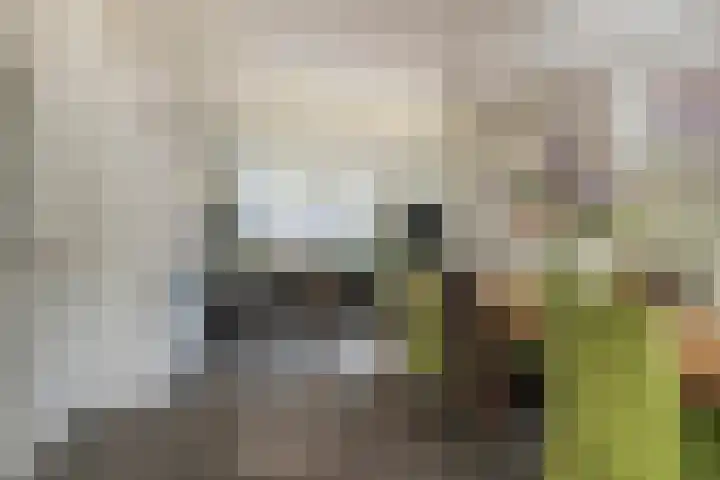 Wolbergstraat 16 Valkenswaard thumbnail 20
