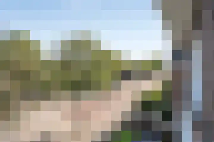 Wolbergstraat 16 Valkenswaard thumbnail 33