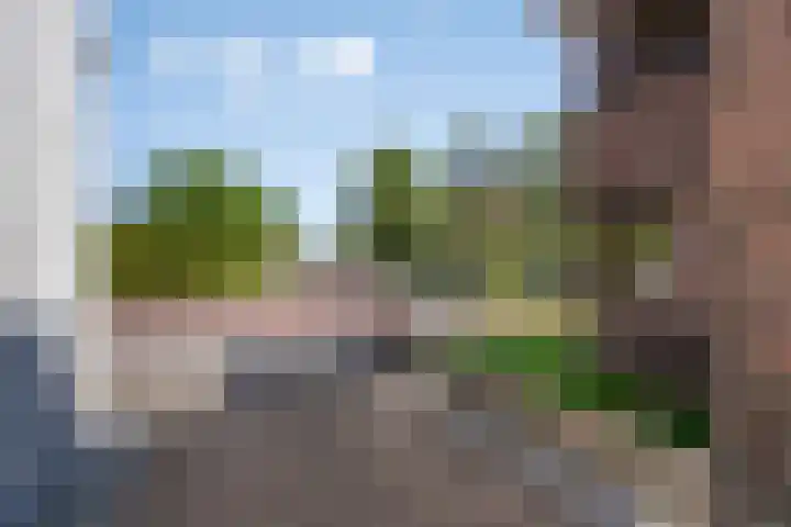 Wolbergstraat 16 Valkenswaard thumbnail 43