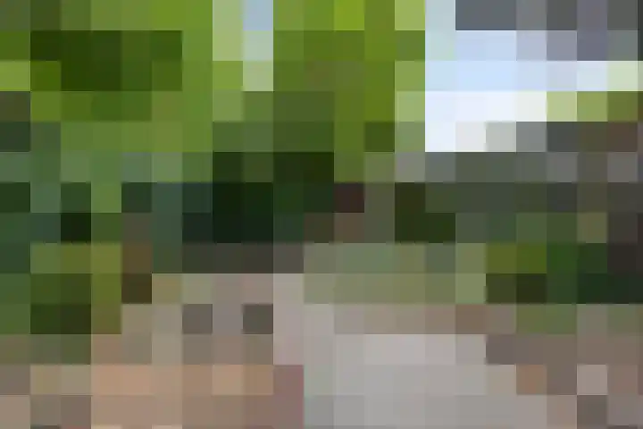 Wolbergstraat 22 Valkenswaard thumbnail 32