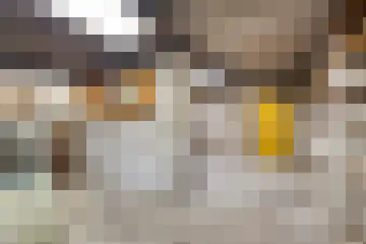 Wolbergstraat 22 Valkenswaard thumbnail 35